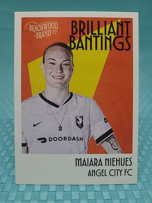 #ad #ad 2025 Parkside Beachwood Brand Brilliant Bantings Maiara Niehues 1 $4.99