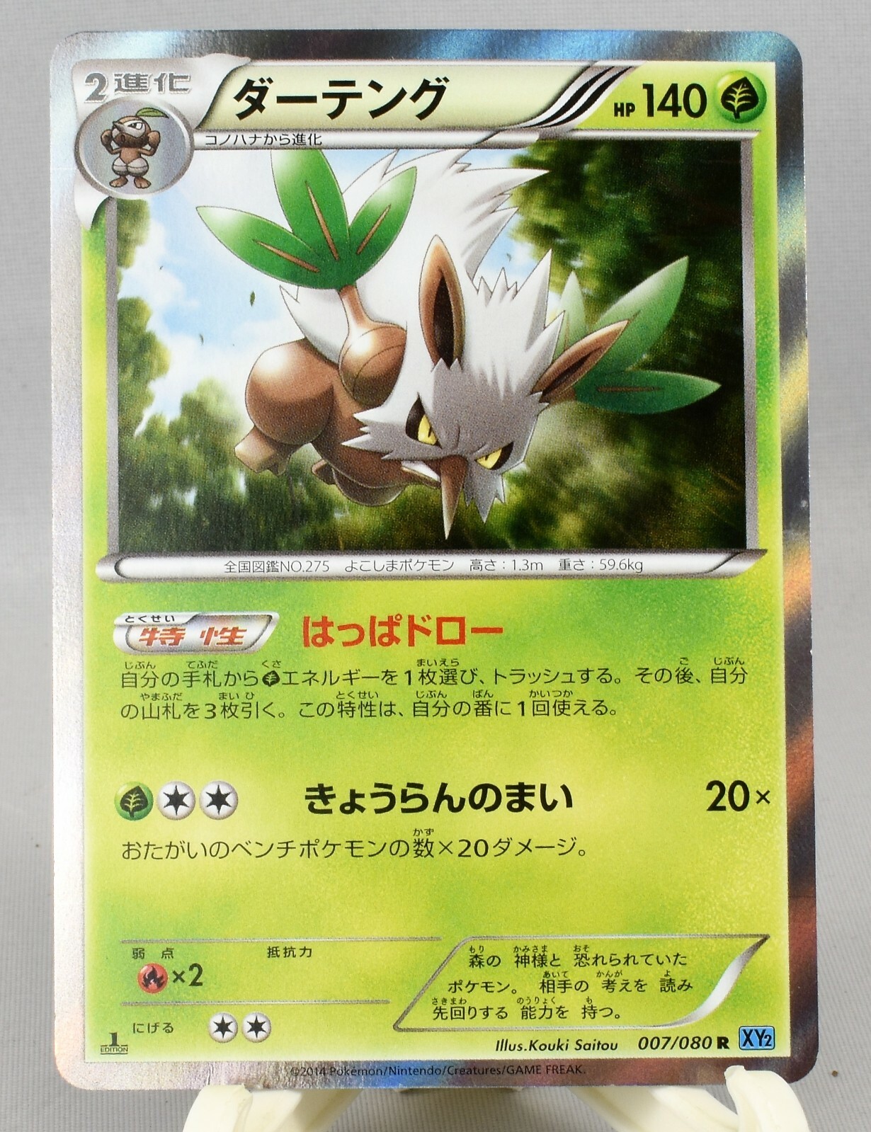 Pokemon Card XY Booster Wild Blaze Shiftry 007/080 R XY2 1st Japanese NM