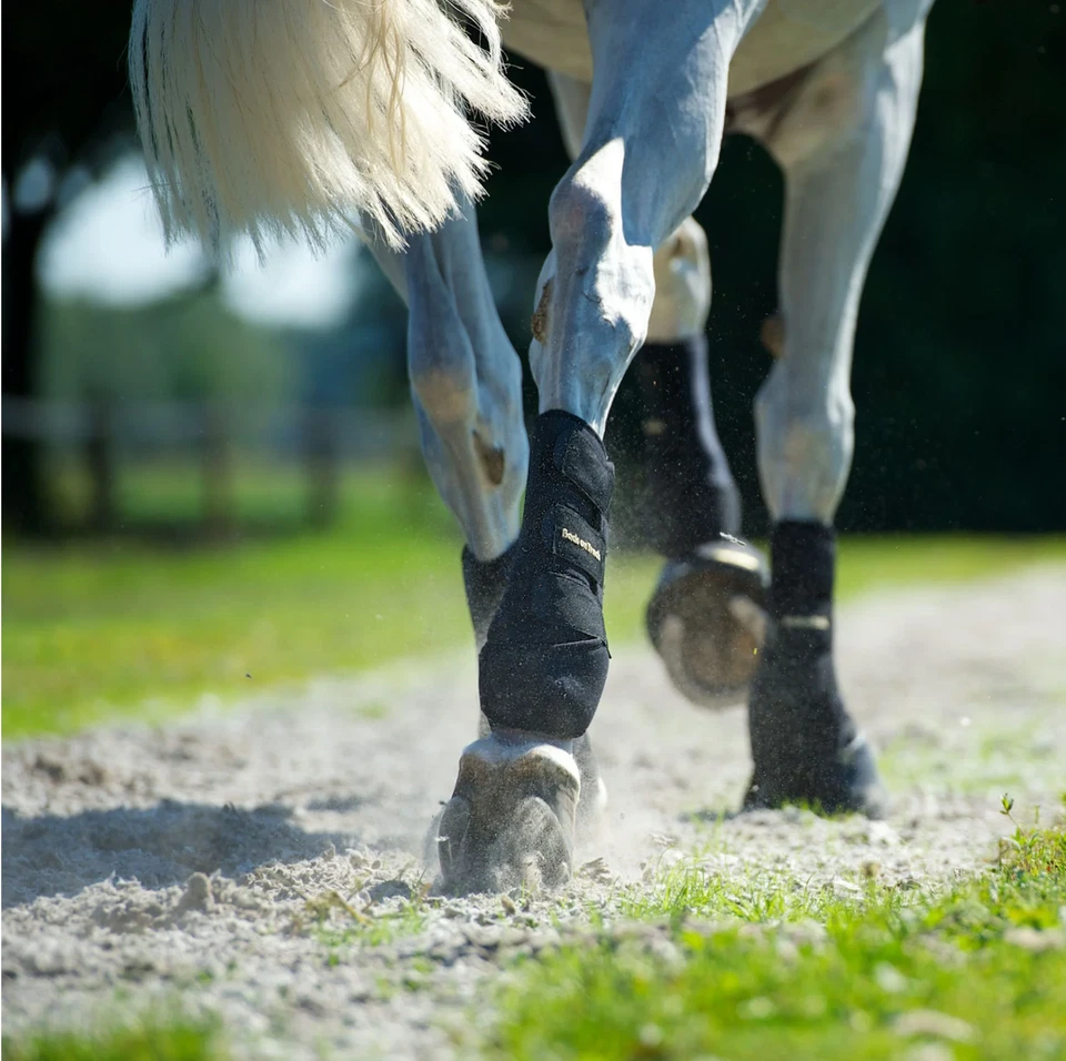 Botas de apoyo de ejercicio terapéutico clásicas negras Back on Track (talla M - traseras) Foto 4 de 4