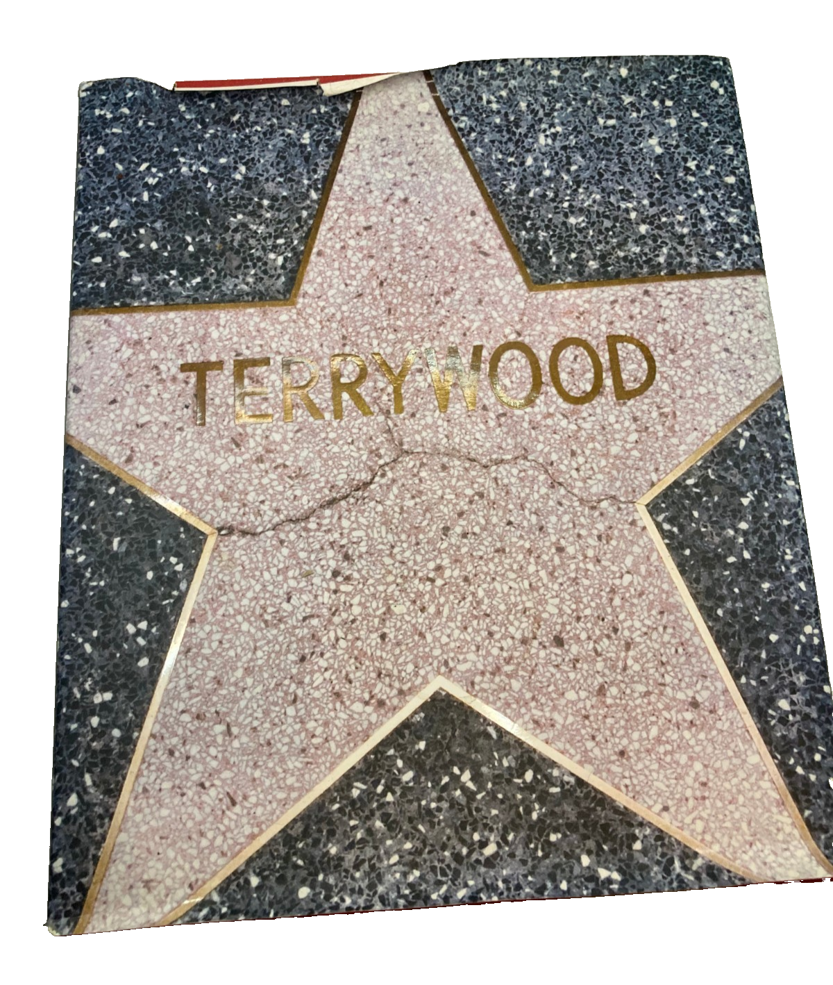 Terry Richardson Terrywood Hardcover Photography Book Damiani 2012