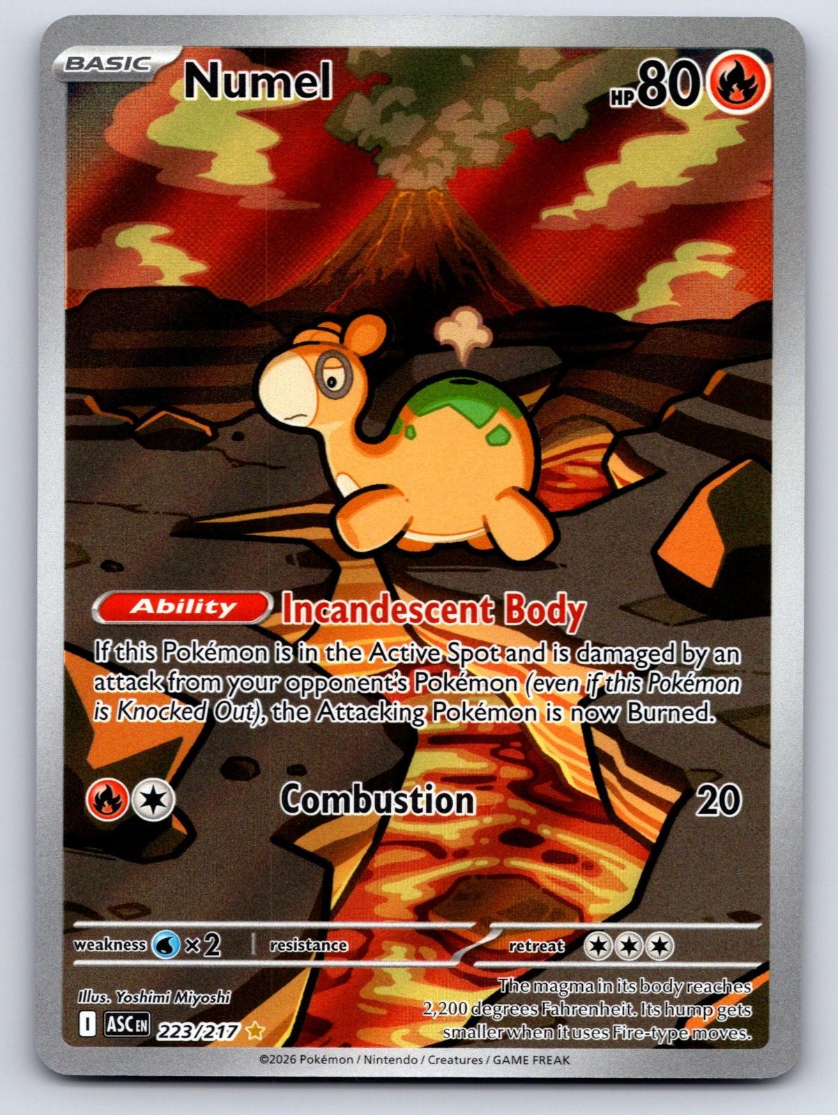 Numel 223/217 Illustration Rare Ascended Heroes Pokemon Holo