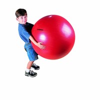 Flaghouse 30 Exercise Ball Standard Packaging 30-inch on sale Flaghouse 30 Exercise Ball Standard Packaging 30-inch on sale