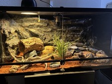 HOBBY Terra Fix Terrarium 90x45x45 Inkl. Zubehör