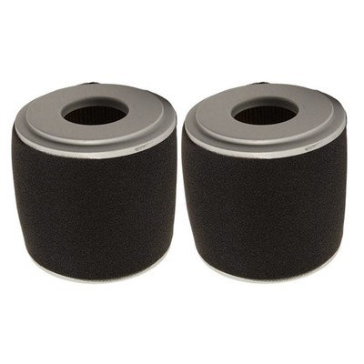 Vertrauenswürdiger Ersatz Luftfilter & Vorfilter Set für Honda 17210Z0V781
