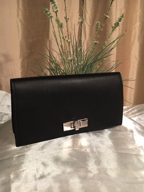baggit waist pouch
