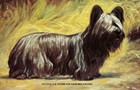 Skye Terrier ~ Gustav Muss-Arnolt ~ Champion Dogs ~ Counted Cross Stitch Pattern