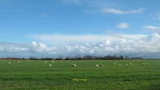 Photo 12x8 Field near Honeychild Manor St Mary in the Marsh As seen from C c2010