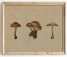 Kizbok Vintage Mushroom Wall Art Poster, Farmhouse Mushroom Wall Decor, Retro Bo