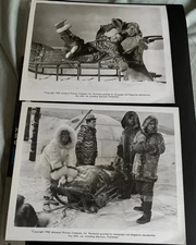 Abbott and Costello Lost In Alaska 2 original photos free shipping