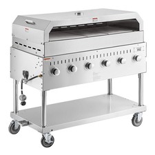 48" Stainless Steel Liquid Propane Outdoor Grill with Pizza Oven