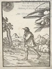 1570 the Sun & the Wind, Verdizotti (b 1525), woodcut, fable, art