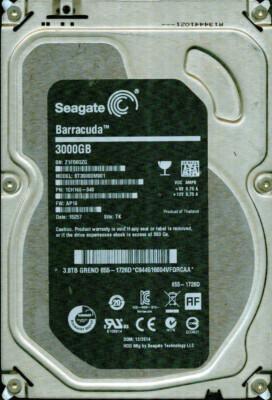 ST3000DM001, 1CH166-048, AP19, TK, SEAGATE 3TB, Z1F5 | eBay
