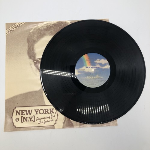 The Complete Buddy Holly 6 Schallplattenset Vinyl Schallplatte MCA 6-80.000 1979 nur Schallplatten - Bild 10 von 18