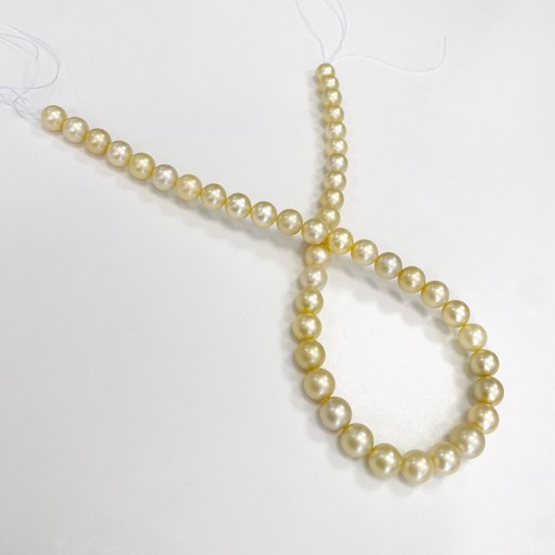 Golden South Sea Pearl Necklace Loose Strand 9-11mm Round/Near-Round Light Gold - Picture 6 of 14