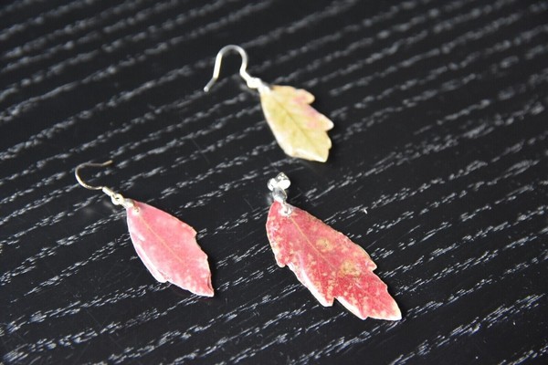 Joyas mujer, pendientes y colgante para collar con hoja natural de Arce.