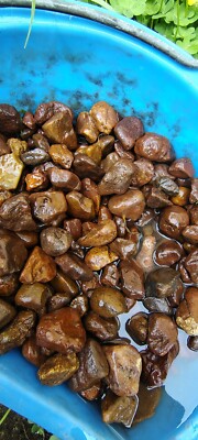 Corundum/ Rough/100 % natural. Rubies & sapphires rough stones  1 LB+.