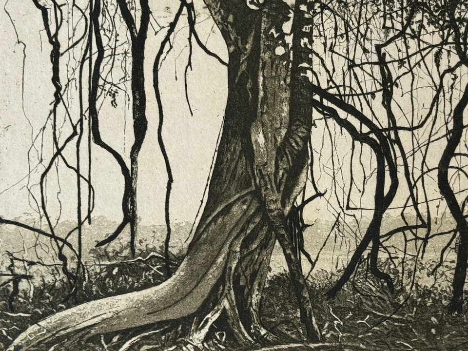 Herbert Jäger, Radierung, 1978, handsigniert und datiert - Bild 3 von 4