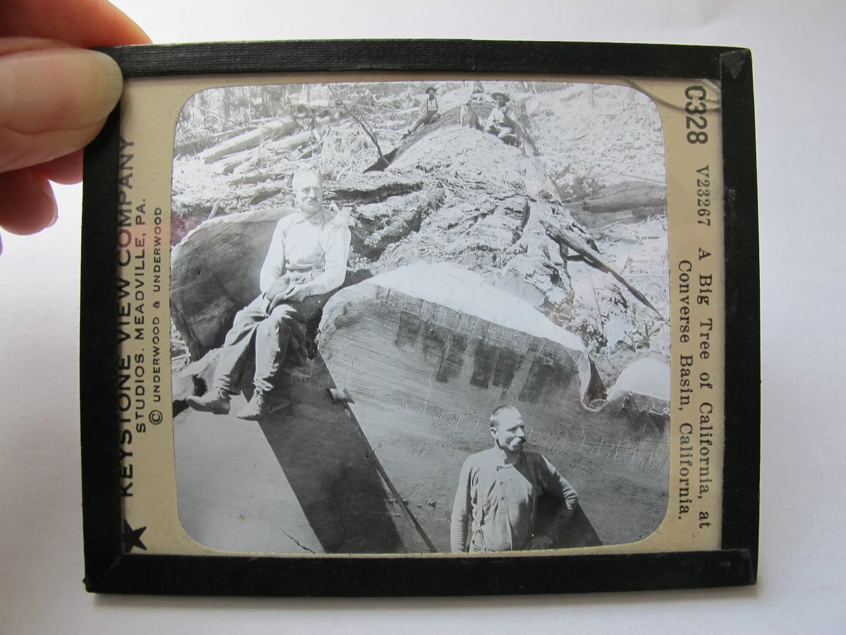 VINTAGE KEYSTONE VIEW COMPANY STUDIOS VINTAGE GLASS SLIDES PHOTOS