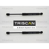 2X Gasfeder FüR Motorhaube Triscan 871011128 2 GasdäMpfer Motorraum FüR BMW