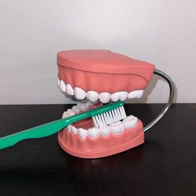 Lakeshore Learn To Brush Demonstration Kit Dental Teeth Model Jumbo Display Kit