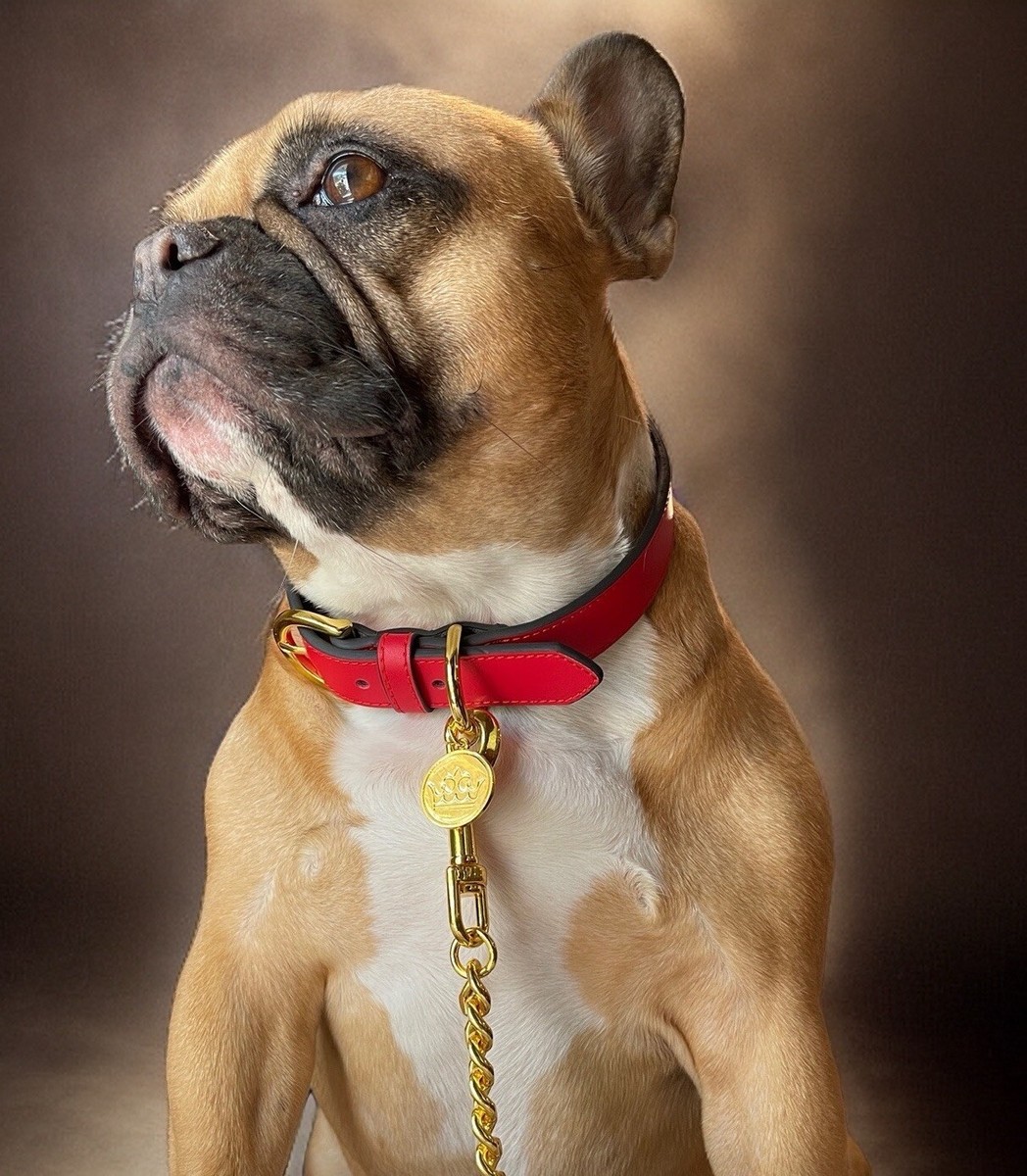 Leather Dog collar Designer Bek&Co Gold Hardware Red