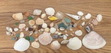 Seashells and sea glass, small and large. From Japan.