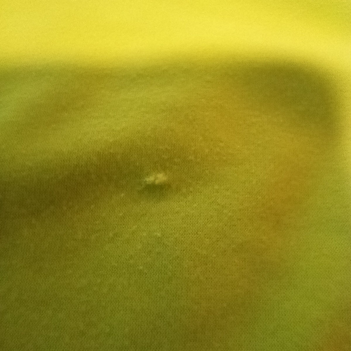 Picture 6 of 11