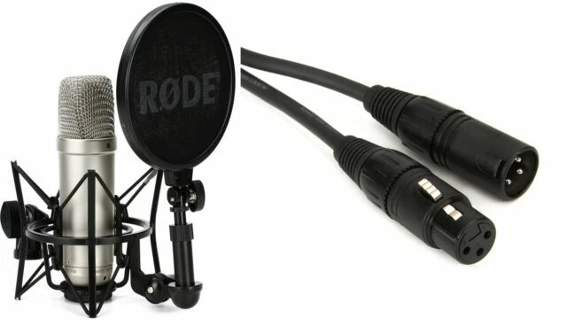 Microfono a condensatore da DJ