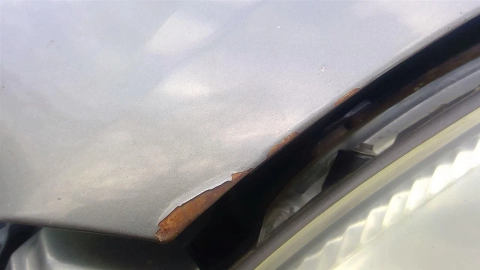 Used Hood fits: 2001 Ford Taurus  Grade A Foto 2 de 4