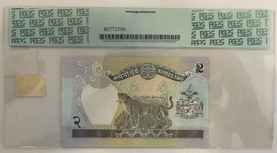 Nepal 2 rúpias ND (1979-2001) P29b PCGS 55PPQ CH. Sobre novo. - Imagem 3 de 4