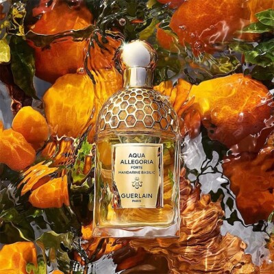 GUERLAIN AQUA ALLEGORIA FORTE MANDARINE BASILIC EDP Spray for Women 75 mL 2.5 OZ