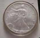 1 oz Round Silver American Eagle Dollar Painted .999 Fine