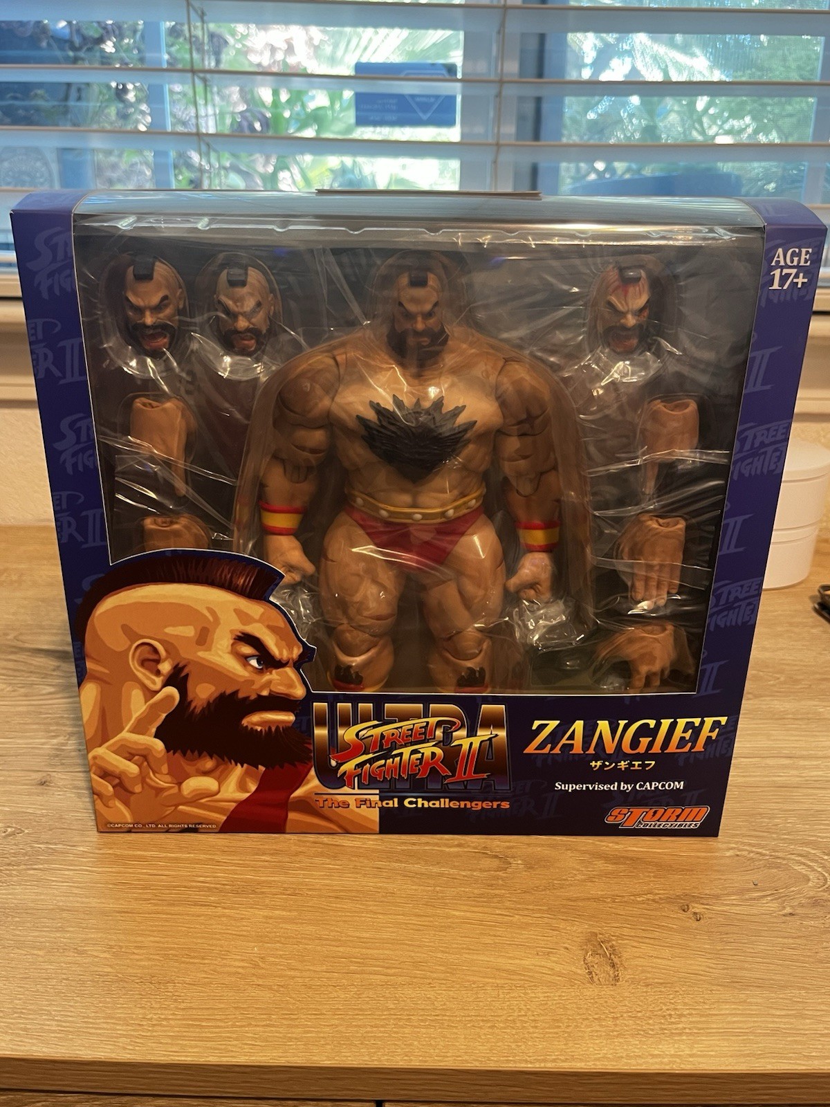 Storm Collectibles Ultimate Street Fighter II The Final Challenger Action Figure