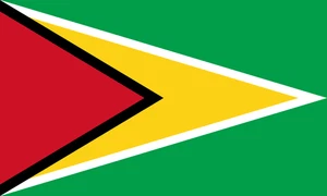 Guyana Flag Self Adhesive Vinyl Sticker