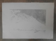 SILVANO GILARDI ABACUC INCISIONE ACQUAFORTE PUNTASECCA ? FIRMATA E NUMERATA 