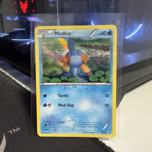 Pokemon Card Black Star Promo - 2014 Mudkip XY38