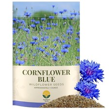 Seeds Bachelor Button   Blue Cornflower   5,500   
