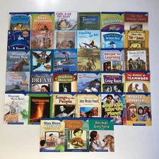 4th Grade Readers Vocabulary Lot of 33 Books Houghton Mifflin Leveled