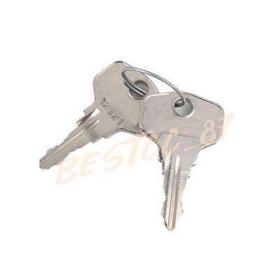 KEYS FOR RITTAL 7526.050 / 7526050