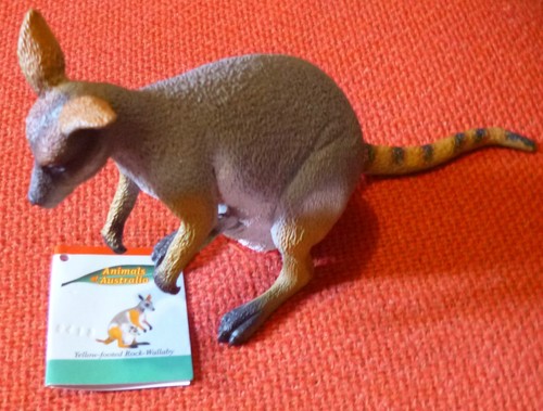 AUSTRALIAN ANIMAL YELLOW-FOOTED ROCK WALLABY LARGE REPLICA 170mm long -PACK 3 - 第 1/1 張圖片
