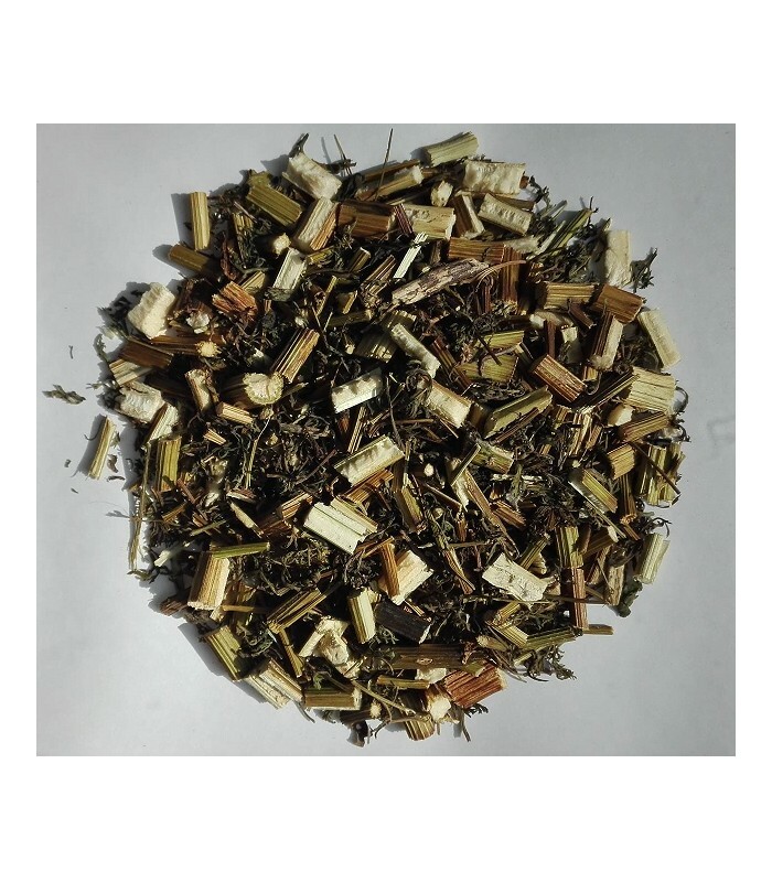 Artemisia annua Kraut | Süßer Wermut | Süßer Anie | Polen Bester Preis und Qualität