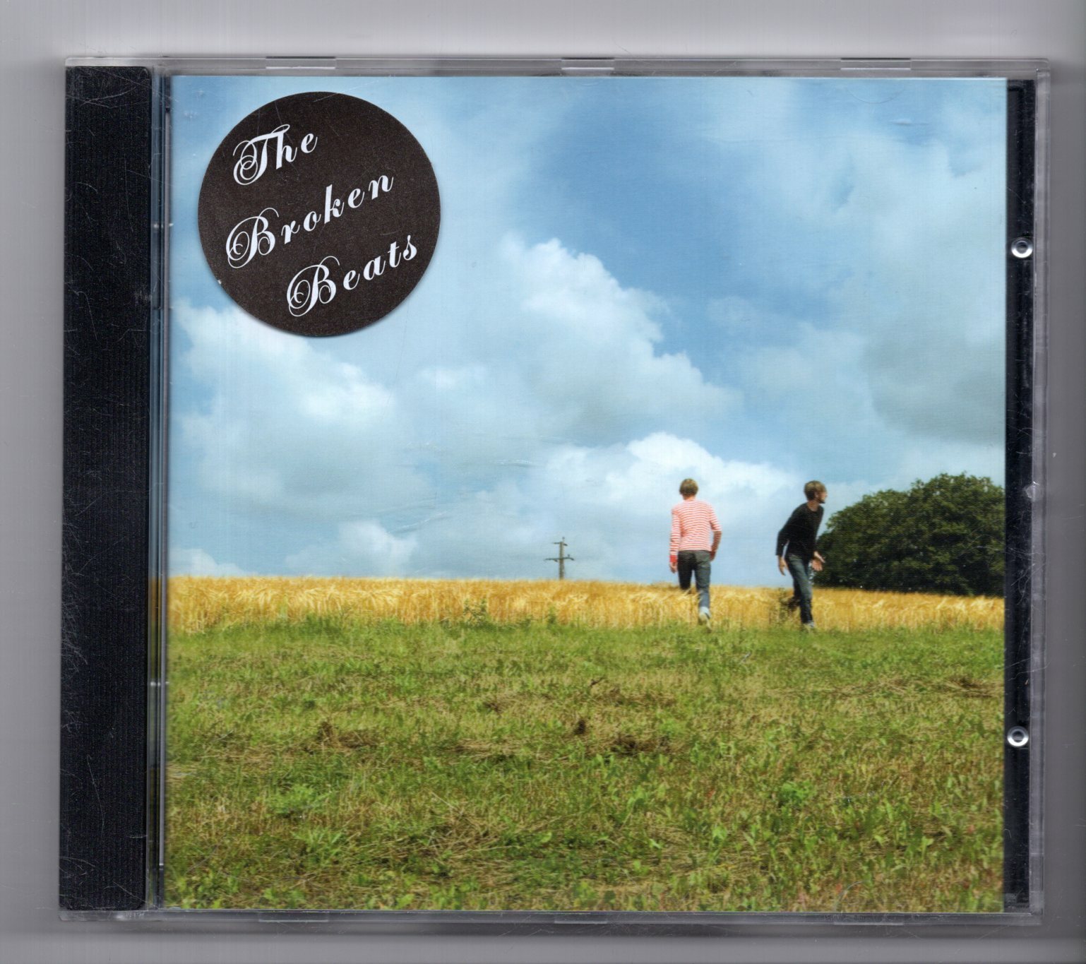 (JX814) The Broken Beats, In The Ruin For The Perfect - CD
