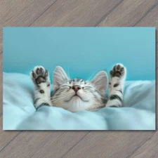 Art Print Cat In Bed Sleeping Arms Up Funny Beautiful Cute Fun Humanized Kitten