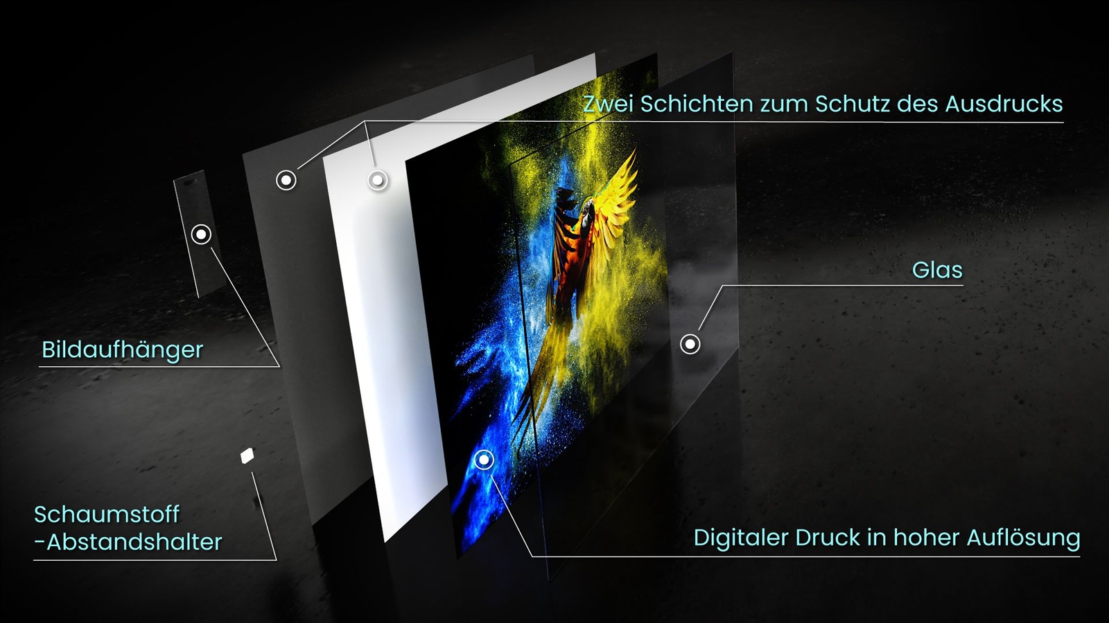 Bild 8 von 10