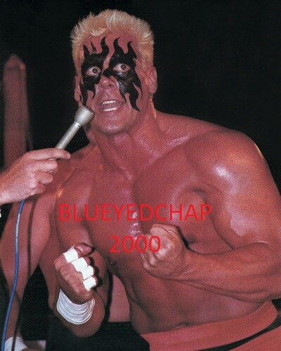 STING WRESTLER 8 X10 WRESTLING PHOTO WWF WCW | eBay