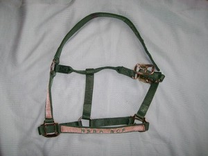 NSBA BCF AWARD HORSE SIZE GREEN NYLON HALTER-2-PLY NYLON-QUICK DISCONNECT BRASS