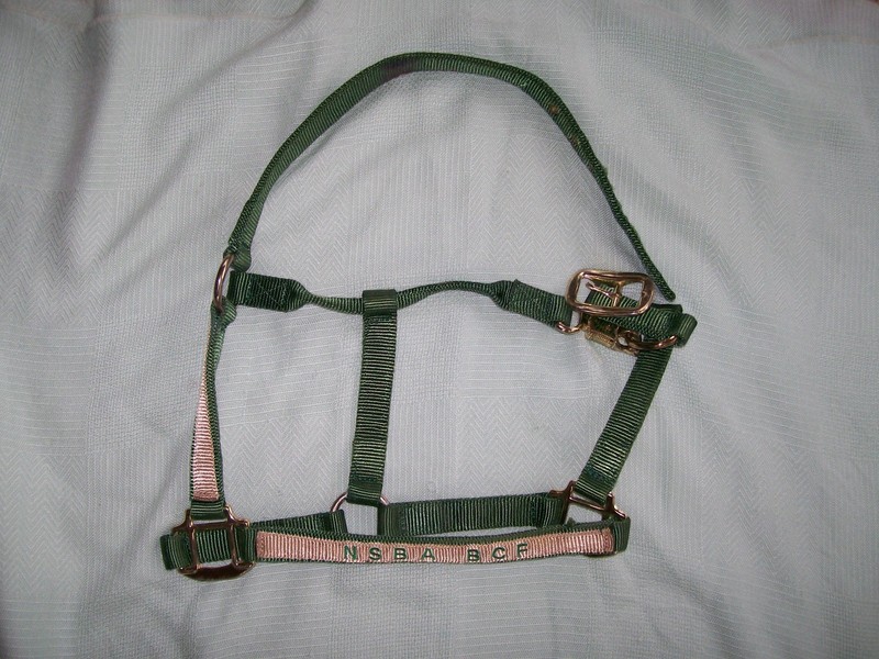 NSBA BCF AWARD HORSE SIZE GREEN NYLON HALTER-2-PLY NYLON-QUICK DISCONNECT BRASS