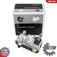 Esen SKV 95SKV459 Ladedruckregelventil