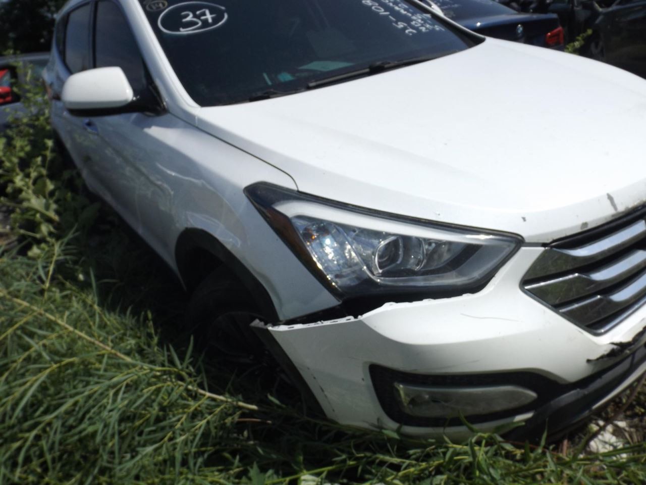 Driver Left Front Door LWB Fits 13-19 SANTA FE 1643982