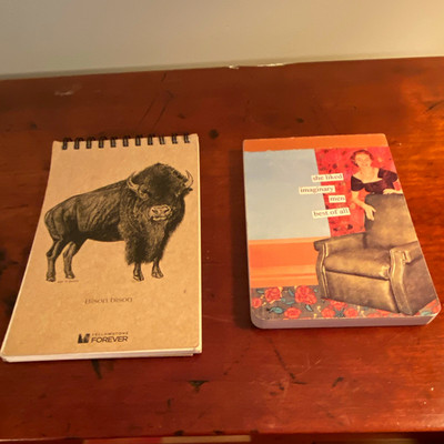 Two (2) notepads 1. Yellowstone Forever Bison Explorer 2.She Liked Imaginary Men